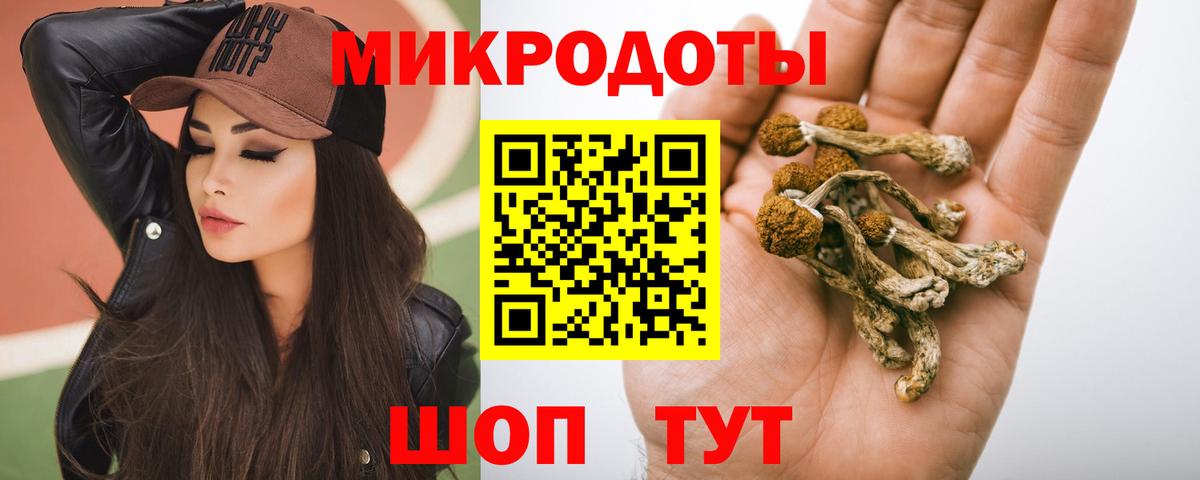 Псилоцибиновые грибы Psilocybine cubensis Уварово